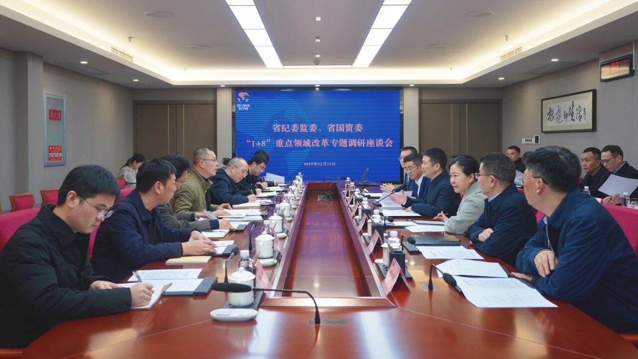 省纪委监委、省国资委一行带队调研省尊龙凯时集团